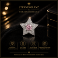316L Edelstahl Piercing Ohrring-Stern